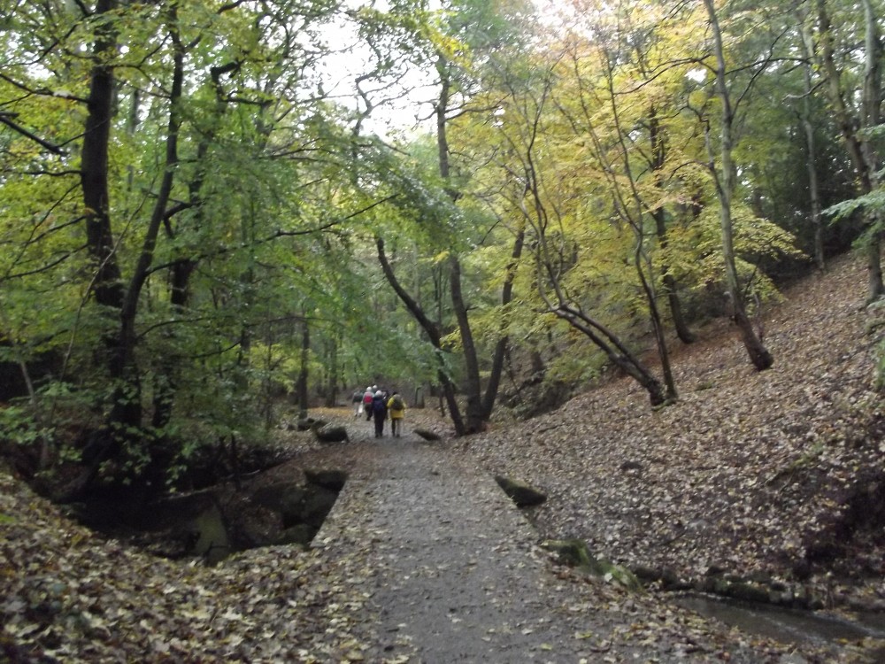 Roundhay Park